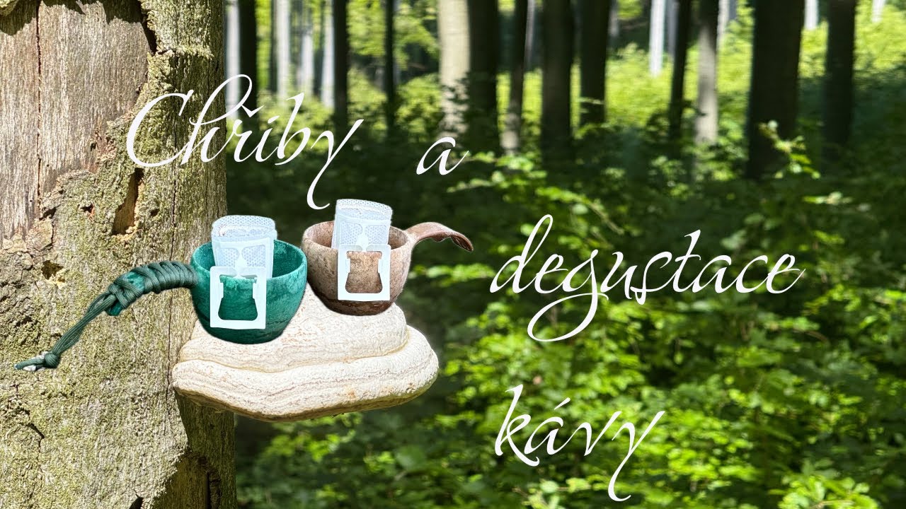 Chřiby a degustace kávy