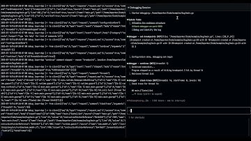 Delve MCP Server Autonomous Debugging pt.2