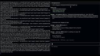 Delve MCP Server Autonomous Debugging pt.2