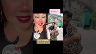 Los búhos 🦉 son tan magníficos!! #reaction #wow #buho #videoshort #bonito