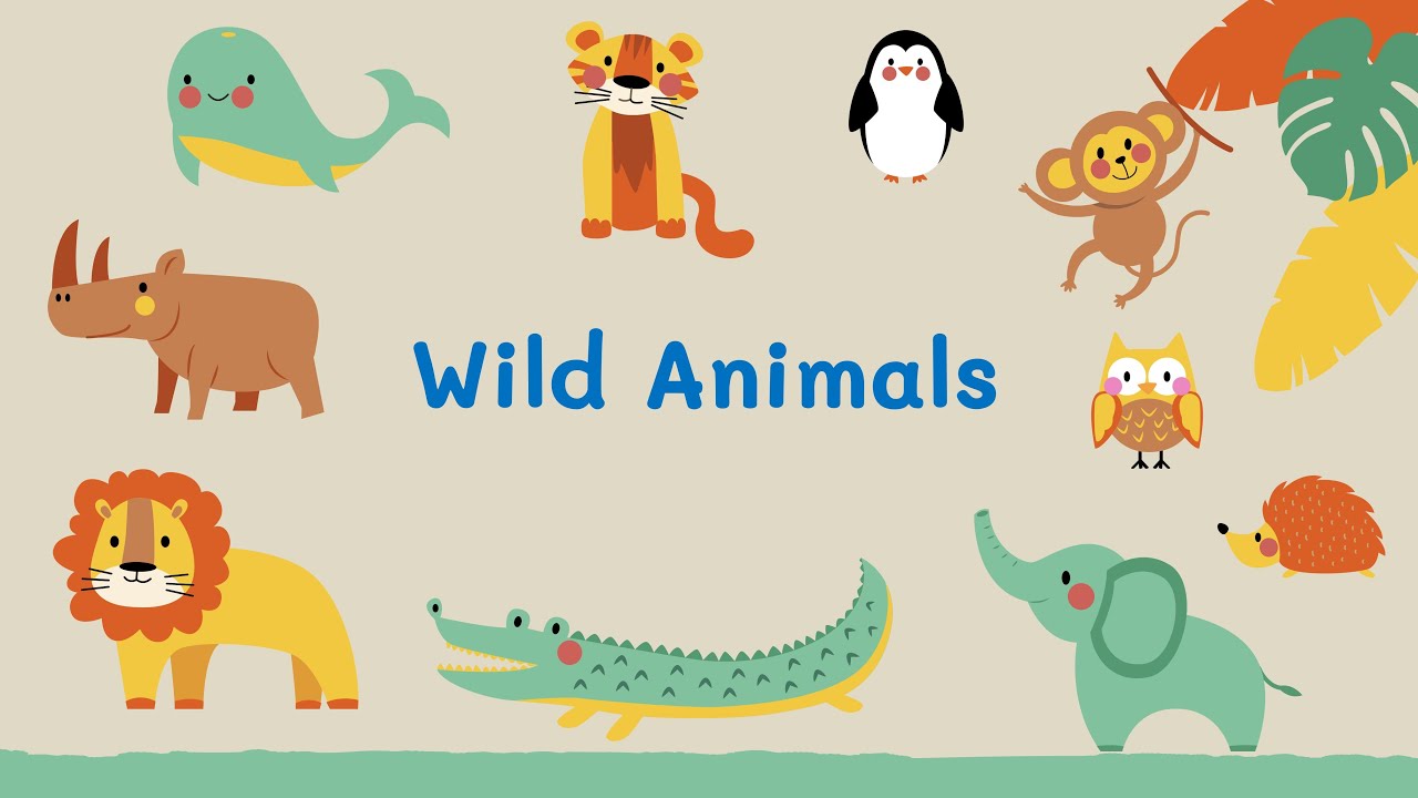 She like animals. Wild animals надпись. Wild animals презентация для детей. Презентация животные на английском языке для дошкольников. Wild animals на английском.