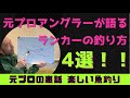 【ルアーシーバス】たったこれだけランカーシーバスの釣り方4選　初心者中級者上級者シーバスルアー