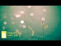 【741Hz】自由の周波数～問題を解決する力、表現力｜表現力の向上 / 問題の解決 ★15