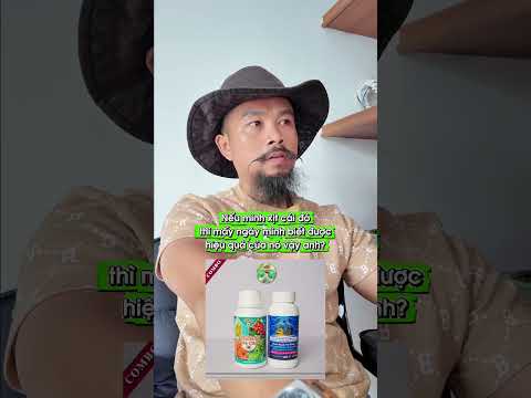 bệnh chết cây, ngủ ngày
