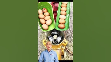 Animal feed pellets making machine for sale with factory price and CE #fcnfm #feedpelletmachine