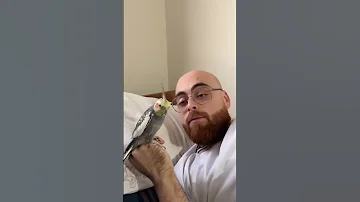 في عندكم حدا هيك المختار خالد أصلان 