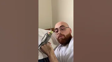 في عندكم حدا هيك المختار خالد أصلان 