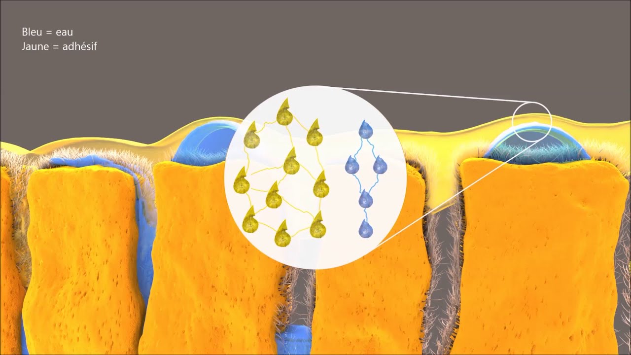 Prime and Bond Active Dentsply Sirona