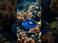 Beautiful Blue Fish Has a Deadly Secret!#BlueTang#OceanFacts#DeepSeaCreatures#MarineLife#Shorts