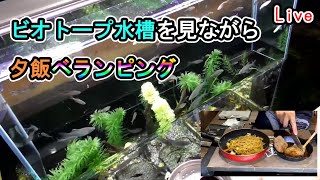 【ベランピングLive】ビオトープ水槽を見ながら肉と焼きそば【ニコ生同時配信】