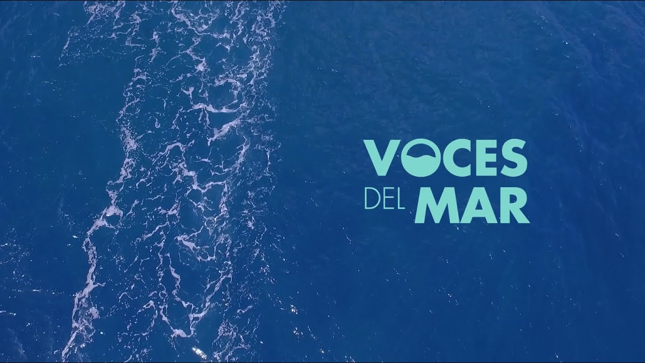 VOCES DEL MAR - YouTube