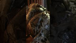 Famous Exploring the Easter Eggs in Gremlins' Inventors Convention Scene Net Worth