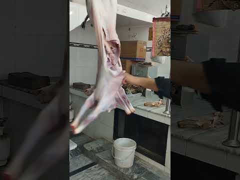 Mutton Cutting Skills Part 1