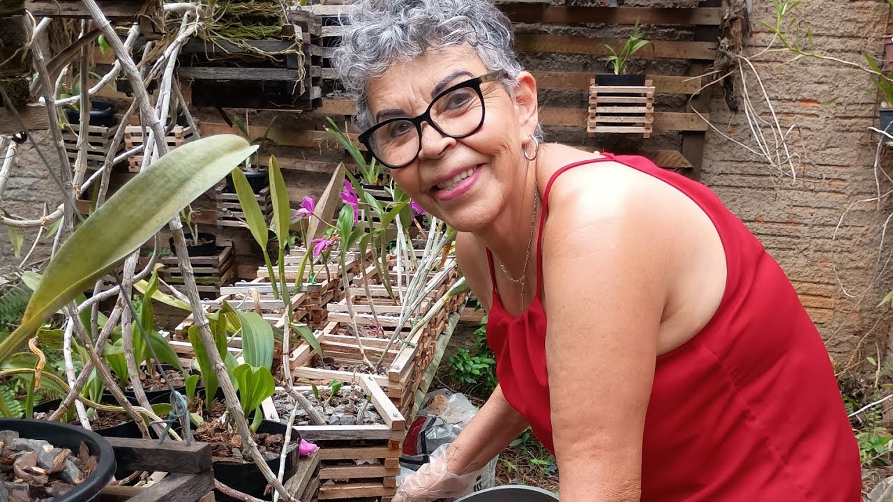 Vamos replantar rabo de serpente?