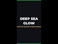 Why Do Deep-Sea Creatures Glow in the Dark?