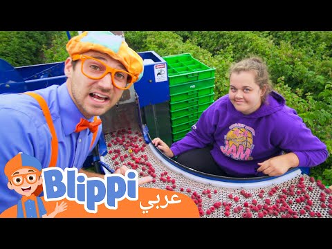 بليبي يزور مصنع التوت برنامج بليبي التعليمي بليبي بالعربي