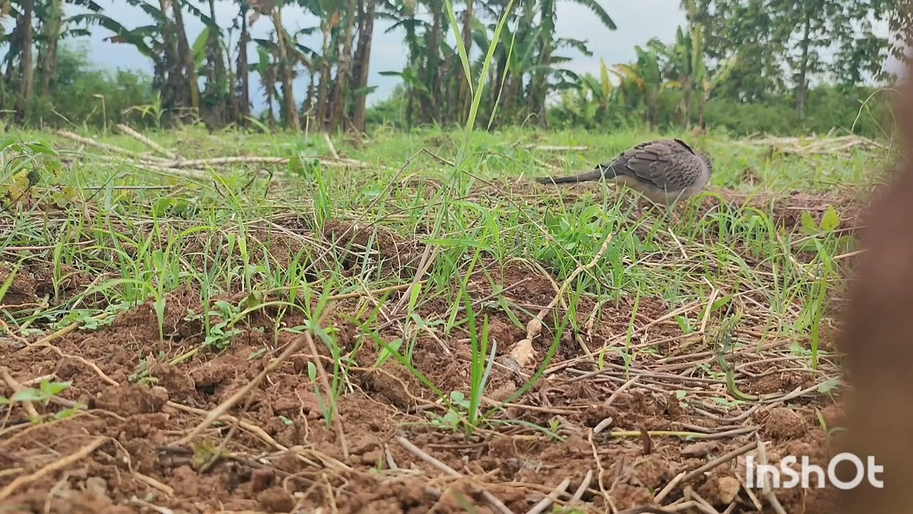 Akhirnya point sore sore