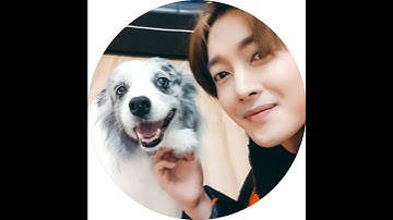 Thumbnail of Kim Hyun joong 💞 Boys over flowers- Jihoo with his 🦮pets 🐕 #shorts
