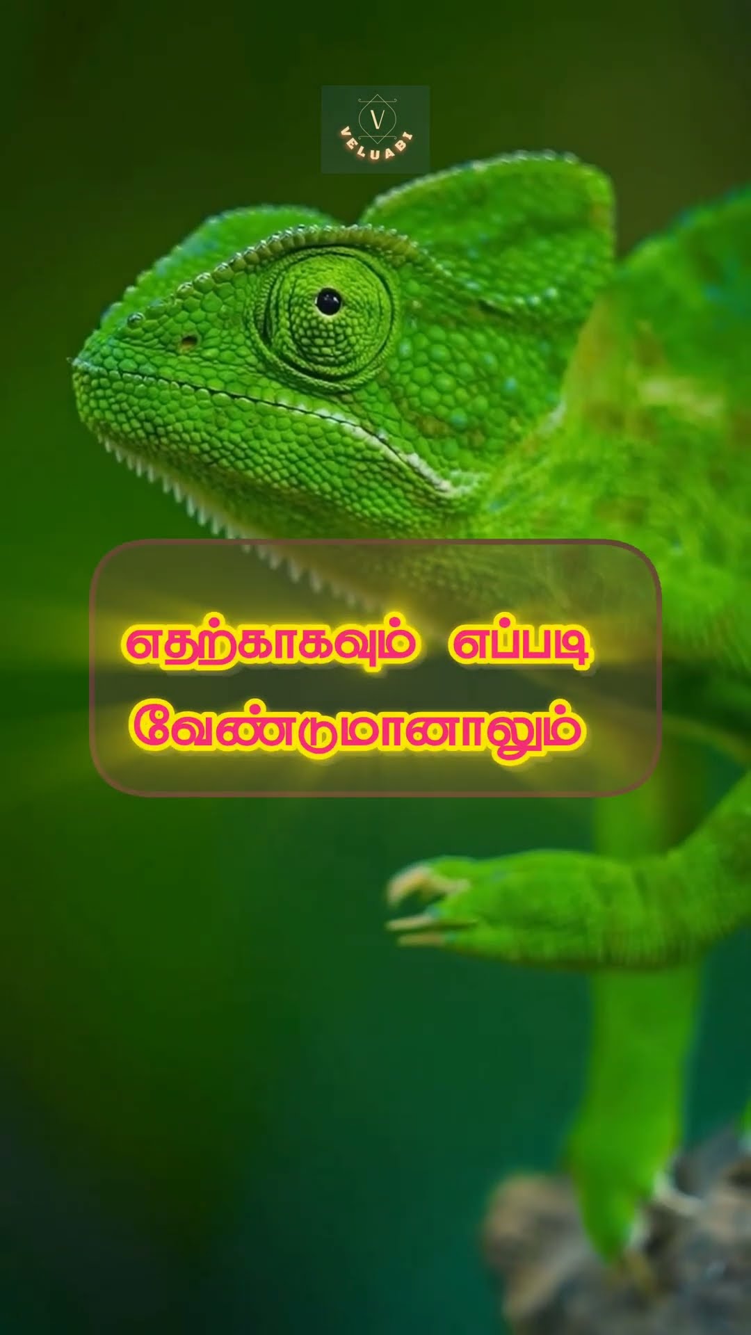 💪🏽மோட்டிவேஷனல் வாழ்த்து💐 - ShareChat