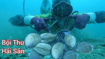 Lặn Biển lagi - cách bờ 6 hải lý bội thu sò dương tu hài ốc tỏi sò trai me ca ( P53