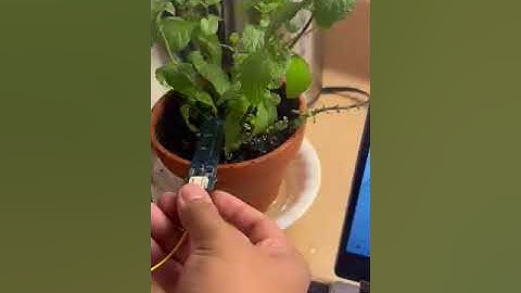 EECS 1011 Final Project