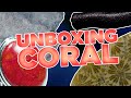 Unboxing Coral | Fossilized Coral, Precious Coral, & More!