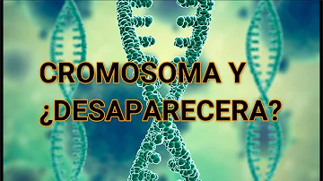 ¿Qué pasaría si el cromosoma YY?