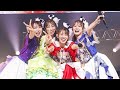 TEAM SHACHI 関東ラストワンマン完全レポート|13年の軌跡と感動のステージ