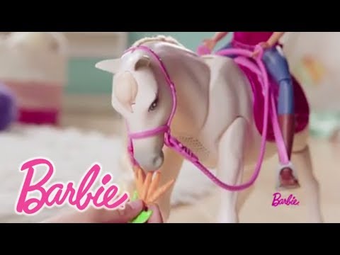 Barbie® DreamHorse FRV36 | @BarbieFrancais