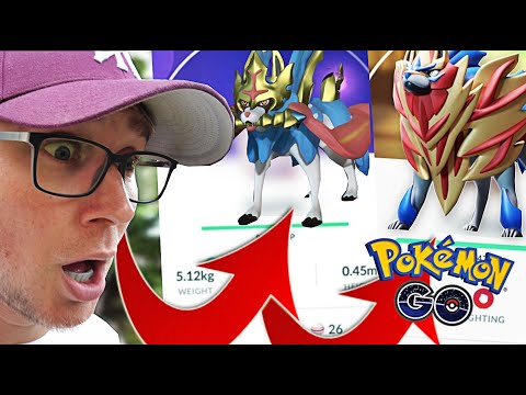 Wideo: Szkoda W Grze Pokemon Go