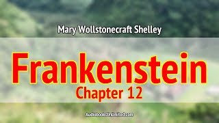 Frankenstein Audiobook Chapter 12