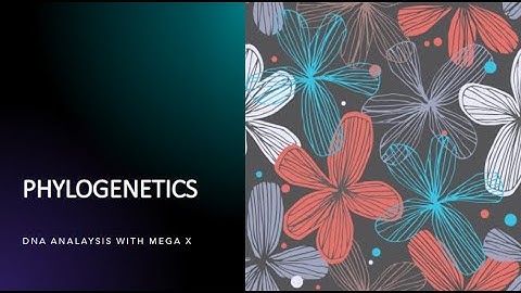 DNA Sequence Alignment with MEGA X: Basic Tutorial