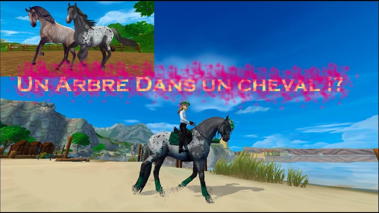 Des chevaux arbre ?! |STAR STABLE - YouTube