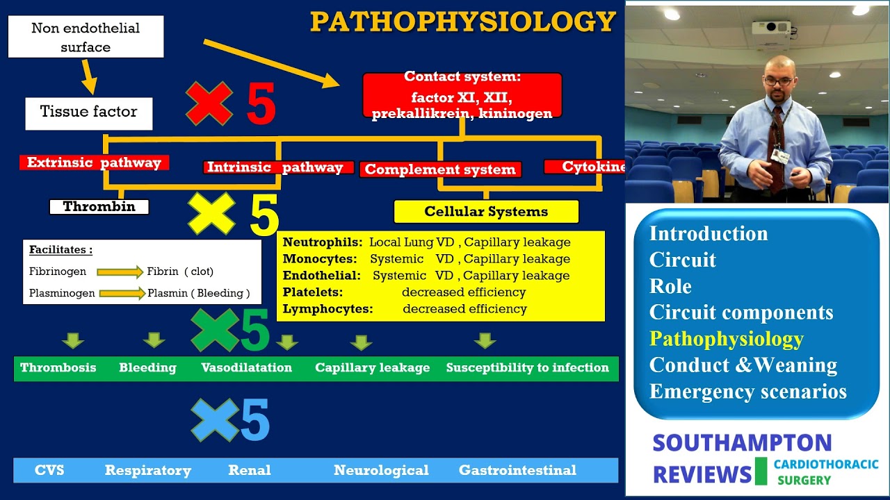 Кардиопульмональное шунтирование: патофизиология