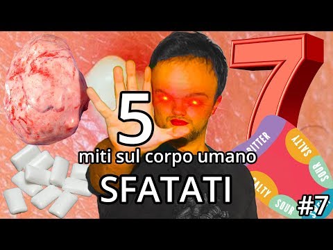 5 miti sul corpo umano SFATATI #7 - Spiegazione