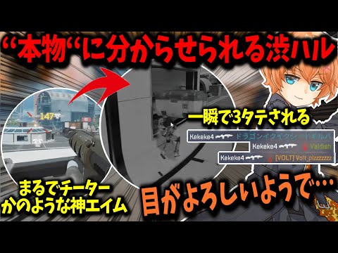 【APEX】まるでチーターかのような神エイムを披露した直後、本物のチーターに瞬殺されてしまう渋谷ハル【渋谷ハル/切り抜き】
