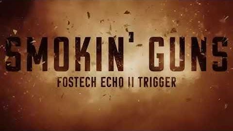 Fostech Echo II Trigger System