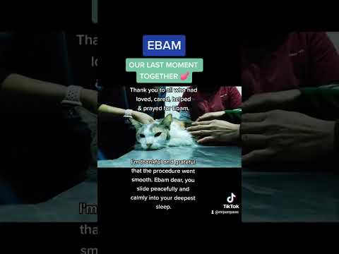 Last Goodbye to Ebam🥺