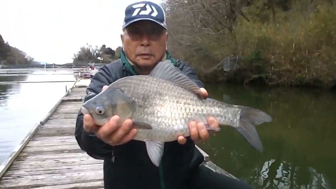 中上様　エ～一投目から超美へら47.5cm釣り上げ！