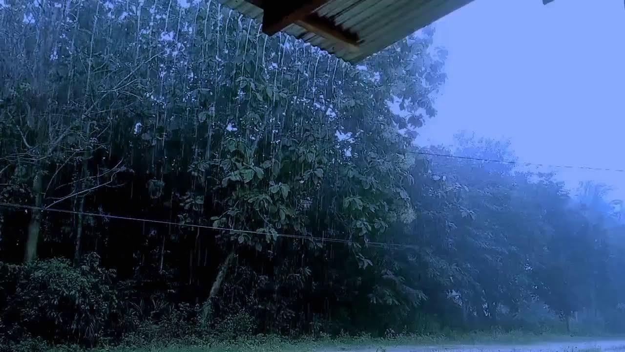 🌧️ Heavy Rain on Tin Roof in Dark Forest – Cozy Storm Sounds for Deep Sleep