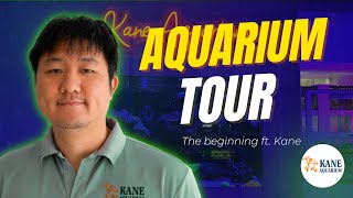 Kane Basement Aquarium Tour!