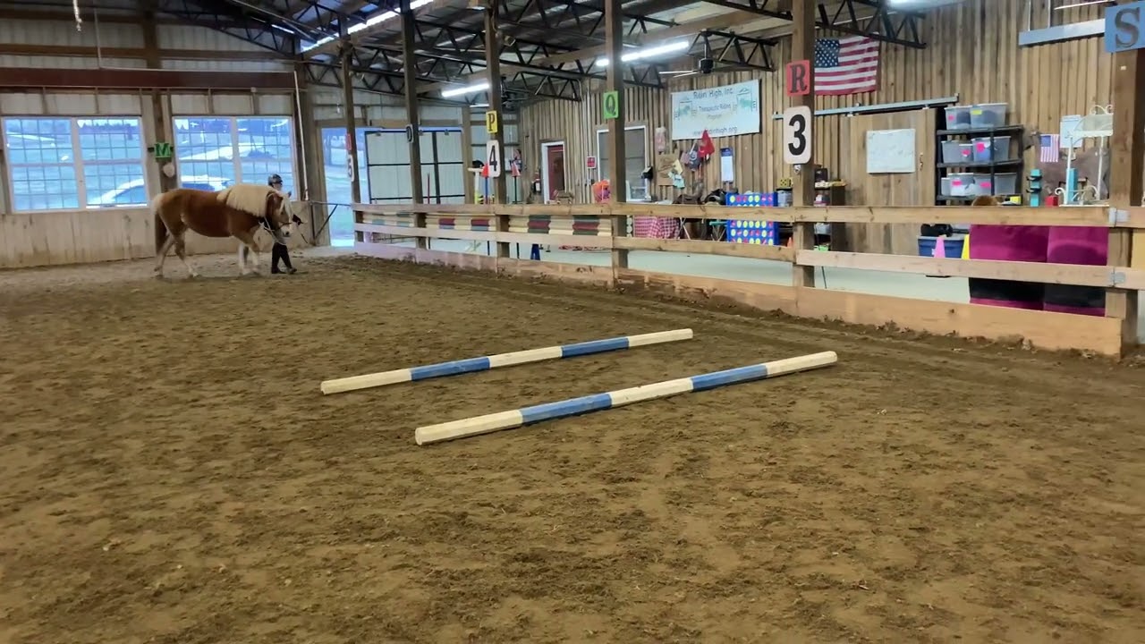 Karen White and "Living the Dream" In Hand Trail