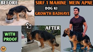 1 Mahine Mein Puppy Ki Shandar Growth | With Proof | how to increase puppy growth