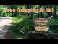 Free Camping in North Carolina at Old NC 105, Pisgah NF, NC