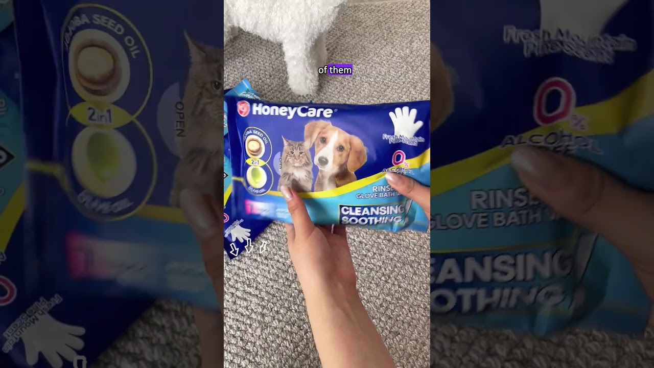 Not just clean — deeply nourished 🌿🐶