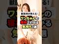 犬の寝相でわかる気持ち3選