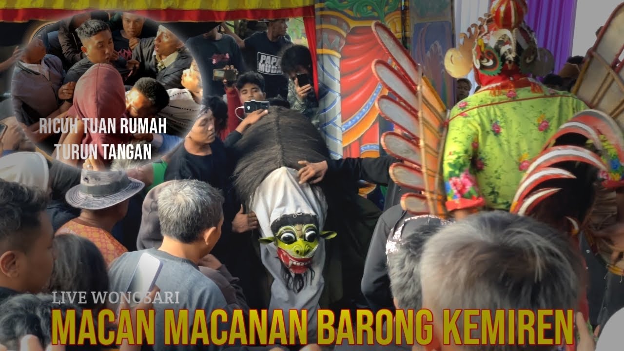 HAMPIR R1CUH ‼️ MACAN MACANAN BARONG KEMIREN