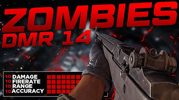 The BEST Zombies "DMR 14" Loadout 😱 Call of Duty Black Ops Cold War Zombies (BEST CLASS SETUP)