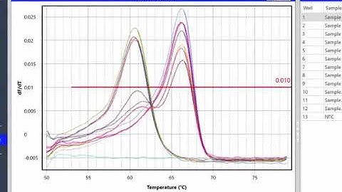 Episode 6 Melt Analysis