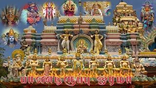 பாண்டிருப்பு ஓரமா|Pandiruppu Throwpathi amman